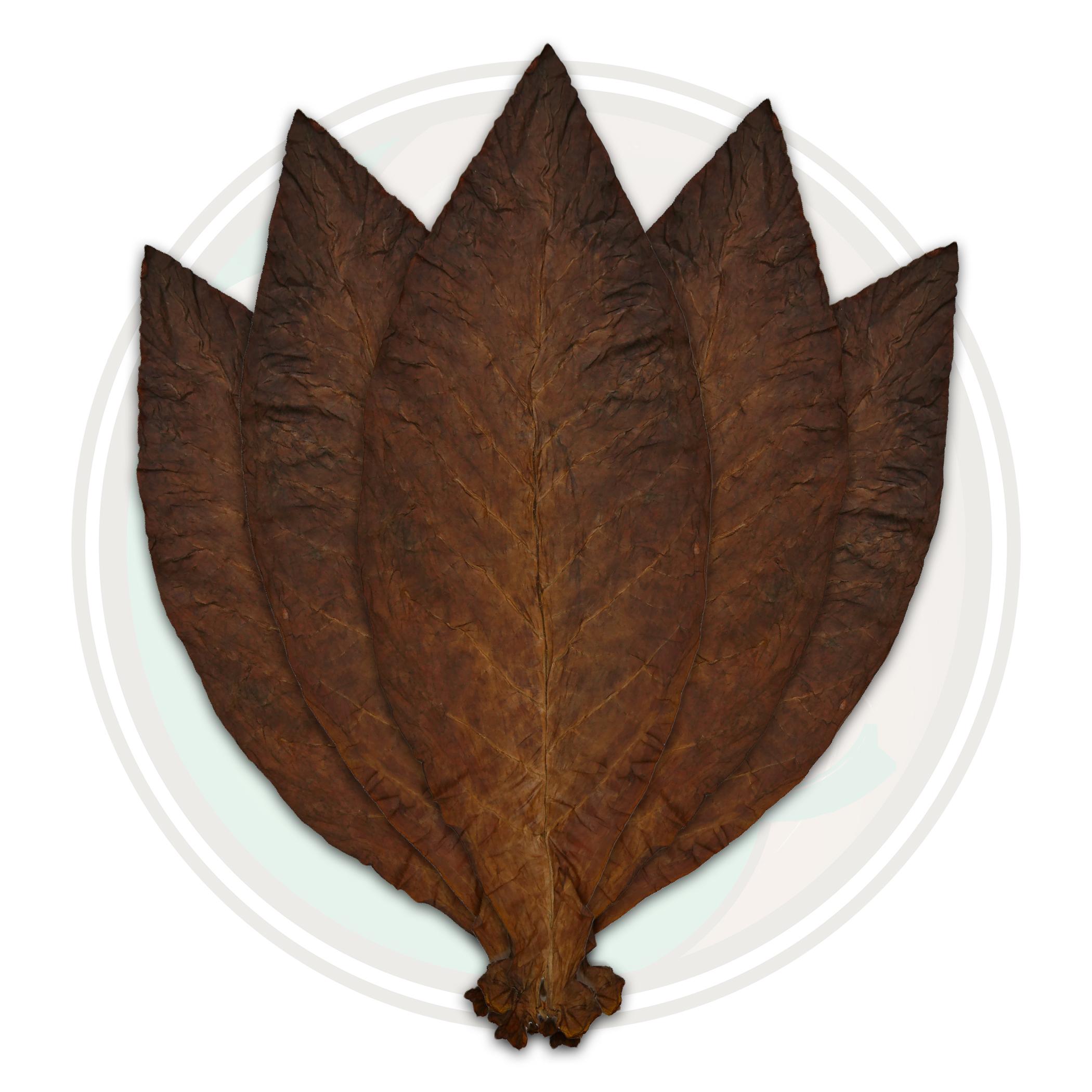 Pennsylvania Oscuro Cigar Wrapper Whole Tobacco Leaf